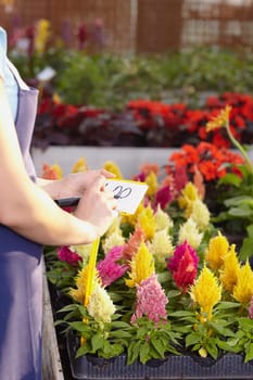 florist
