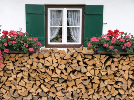 Wood stock for the winter