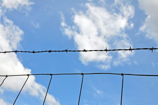 Barbed wire