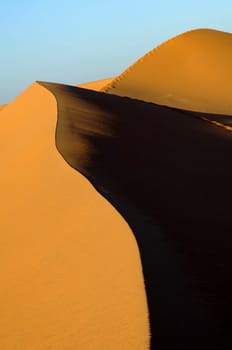 Ridge of a sand dune,Sahara