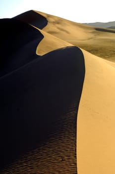 Ridge of a sand dune,Sahara