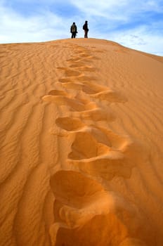 Way Up,Sand Dune,Sahara Desert