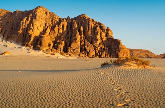Footprints in the sand