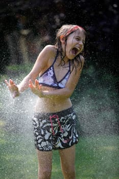 Water features in the garden