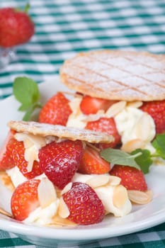 Waffle with mint