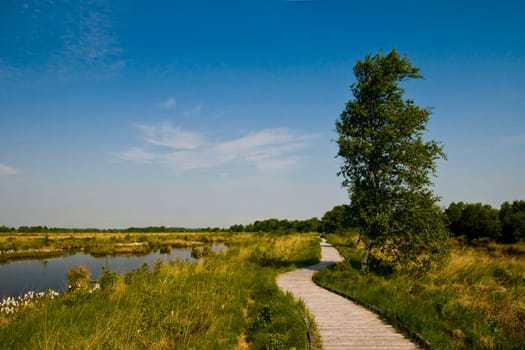 Eternal Sea Nature Reserve