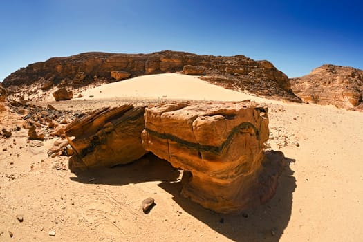 Wadi Arad