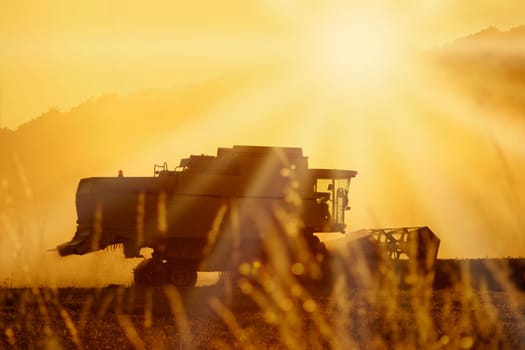 Combine harvester at harvest