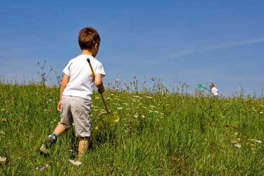 butterfly hunters