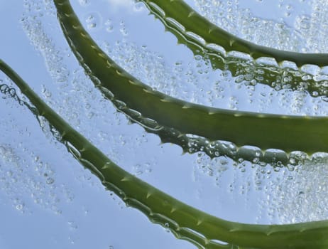 Aloe and green crystals of sea salt