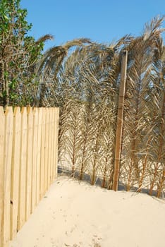 Detail of a tropical beach bar