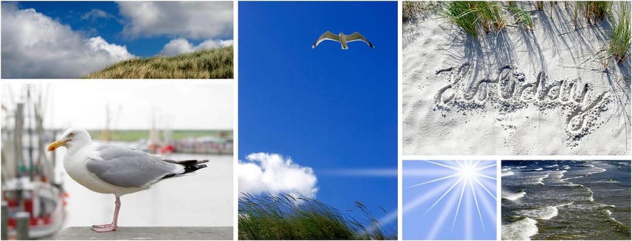 Summer Sun Vacation Collage