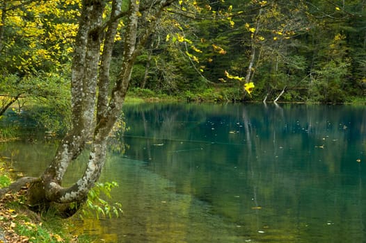 Bergsee Christlsee near Oberstdorf