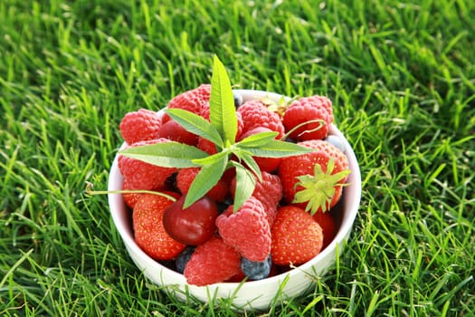 Fresh fruits