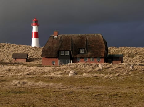 Thatched House