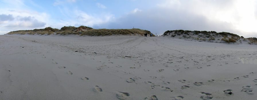 Beach Tracks