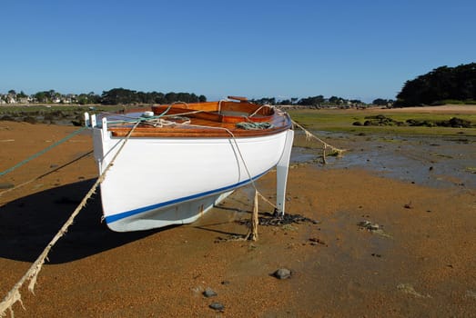 On dry land