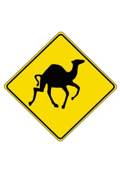 camel