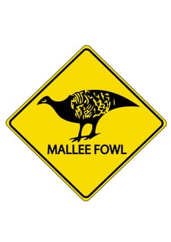 Mallee Fowl
