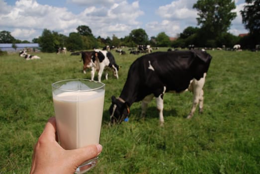 Fresh milk