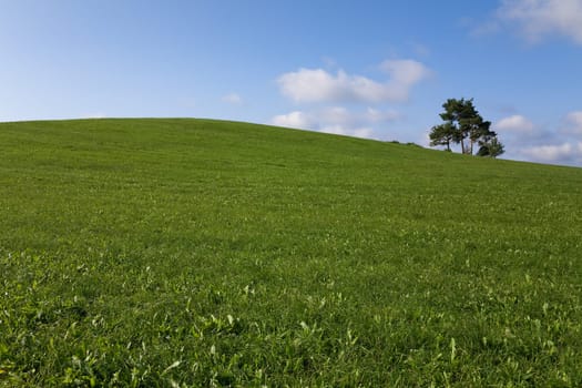 green hill