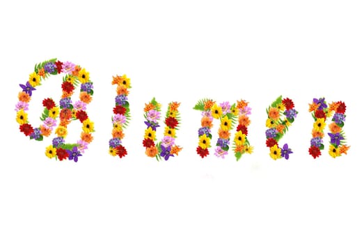 Flowers without food