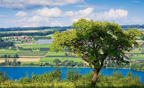 View of Lake Hallwil