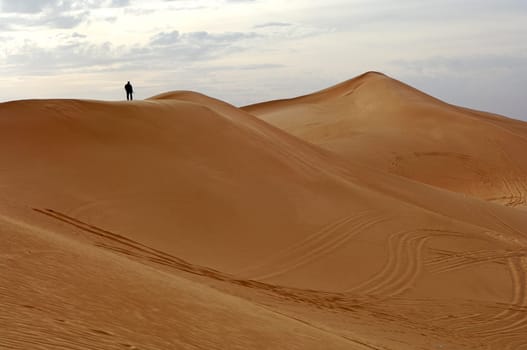 Tourist climbing a sand dune,Libyan desert,Sahara desert,Libya