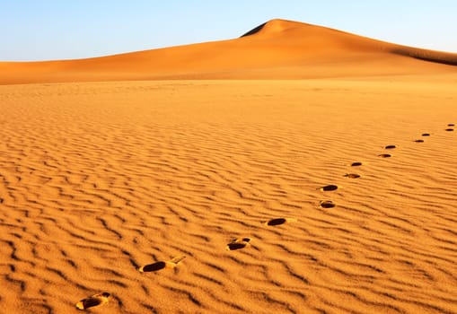 Footprints on a sand dune,Sahara