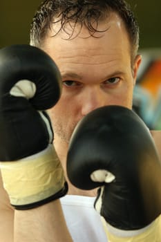 male boxer