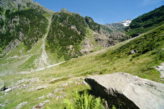 Trift Valley