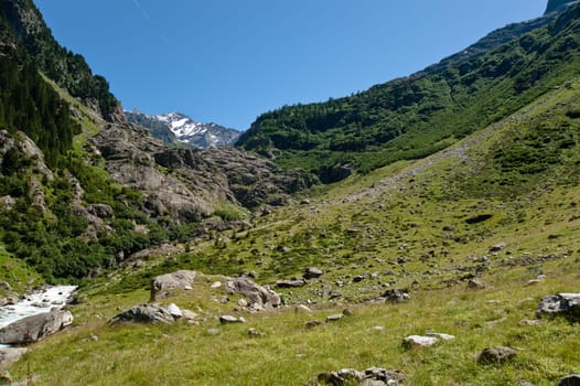 Trift Valley