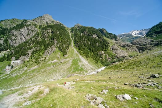 Trift Valley