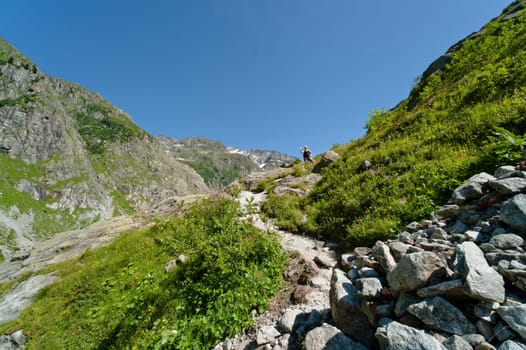 Trift Valley
