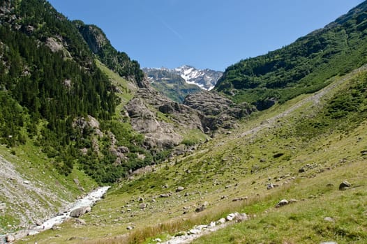 Trift Valley