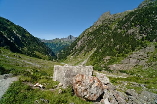 Trift Valley