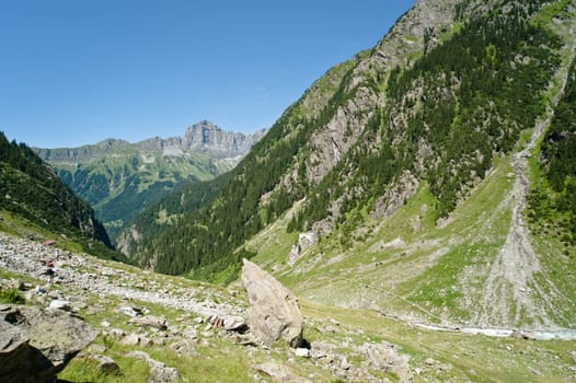Trift Valley