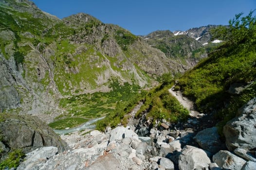 Trift Valley