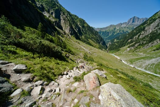 Trift Valley