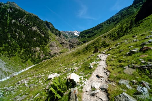 Trift Valley