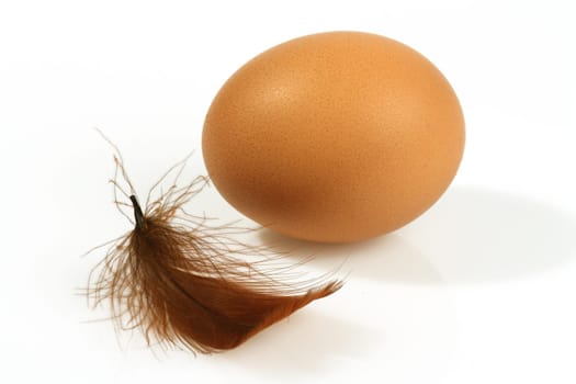 Egg