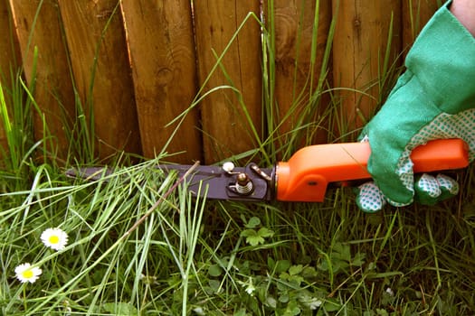 Cutting grass
