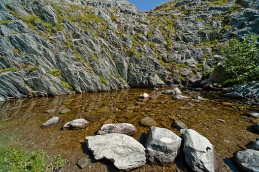 Alpine Pond