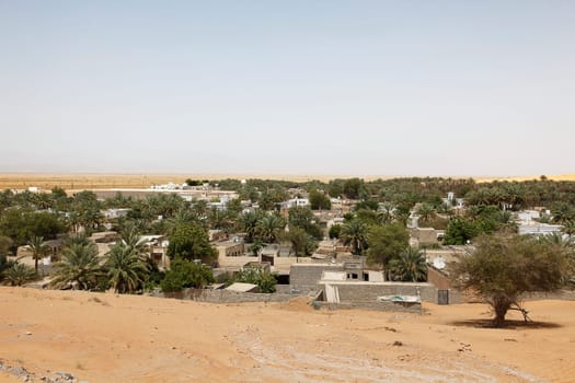 Oasis