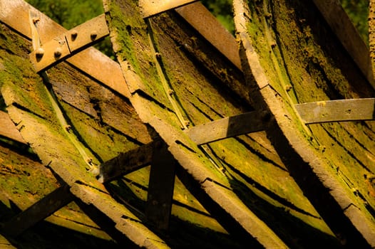 Paddle wheel