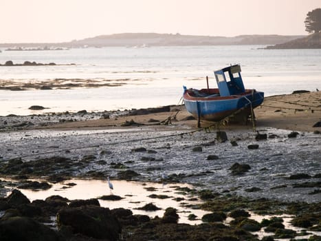 Low tide