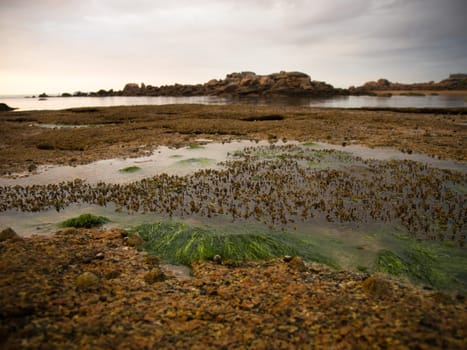 sea water without lake