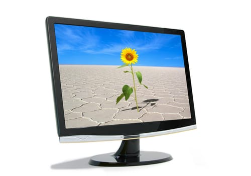 Monitor on white background