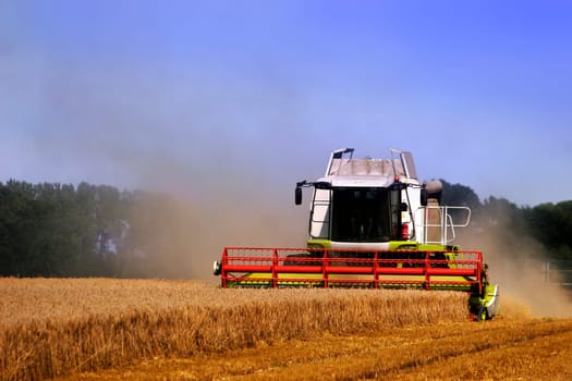 Combine harvesters at harvest