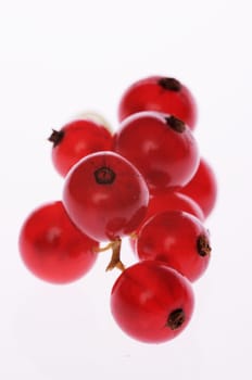 Red currants
